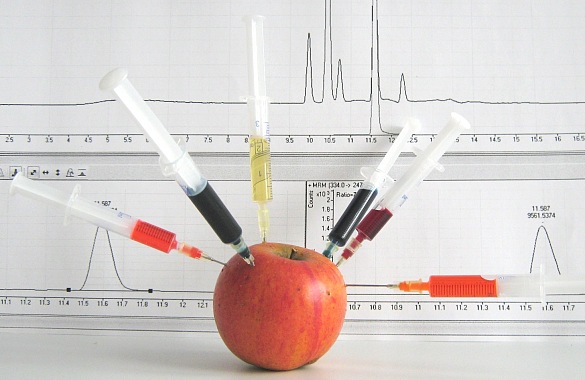 Ein Apfel, von vielen Spritzen gestochen