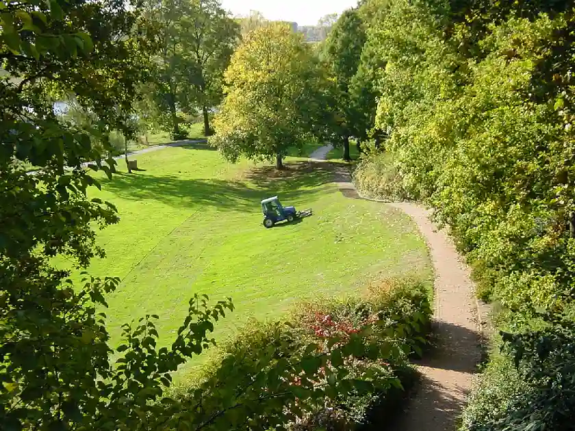 Das Bild zeigt einen Traktor beim Rasenmähen in Knoops Park.