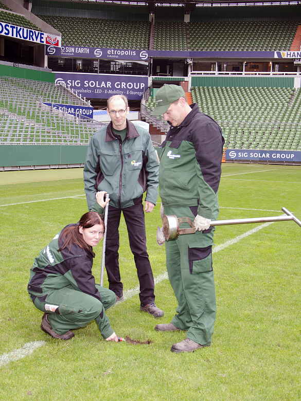3 Personen auf dem Rasen im Weser-Stadion