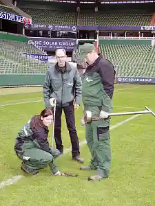 3 Personen auf dem Rasen im Weser-Stadion