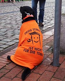 Hund mit orangefarbenem Umhang mti Aufschrift "Deine Stimme ist nicht für die Tonne"
