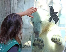 Katja Seedorf mit Eisbärin Elsa