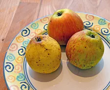 Teller mit Äpfel und Birnen (?)