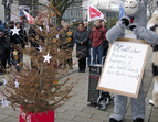 Geschmückter, abgenadelter Tannenbaum wird der Senatorin für Finanzen überbracht