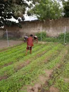 Drei Personen bei der Arbeit im Schulgarten. 
&tilde; Bildnachweis: Human & Environment e.V.