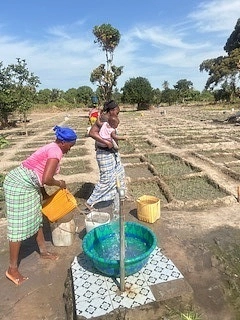 Frauen, die Felder bew&auml;ssern