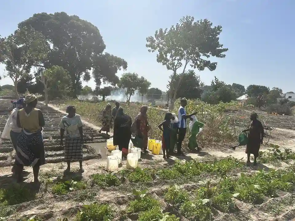 G&auml;rtnerinnen stehen als Gruppe zwischen den Beeten und reden