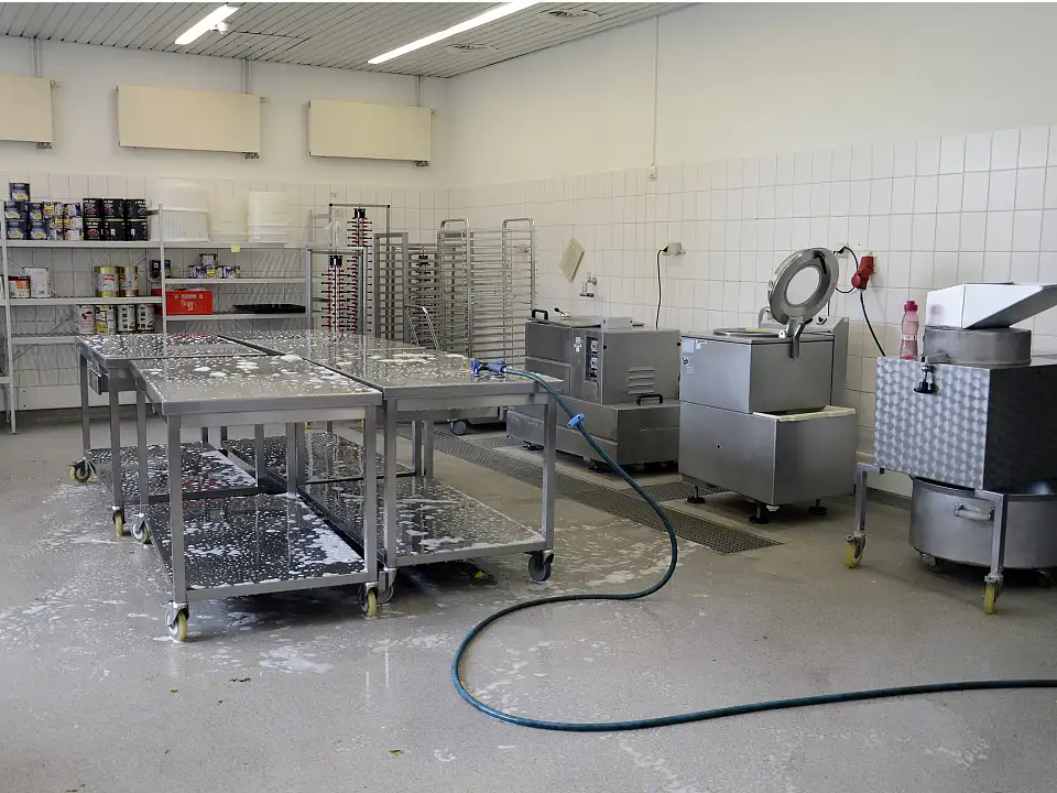 Reinigung Salatvorbereitung 